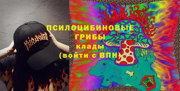 PSILOCYBIN Володарск