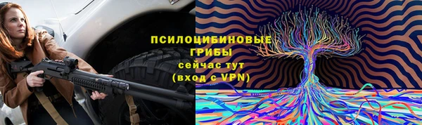 MDMA Дмитриев